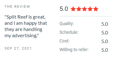 5 Star Review for Incredible Web Development & SEO Services