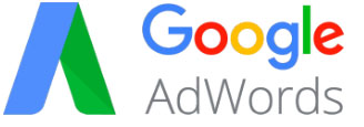Google ads certified professional Jacksonville